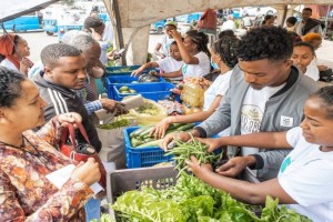 Fresh organic mixed vegetables from Ethiopia